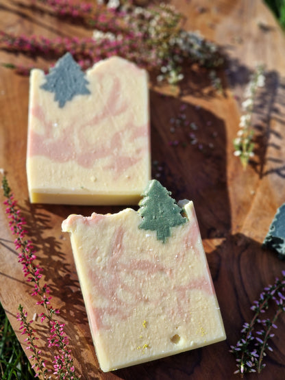 Symphonie des Zauberwaldes