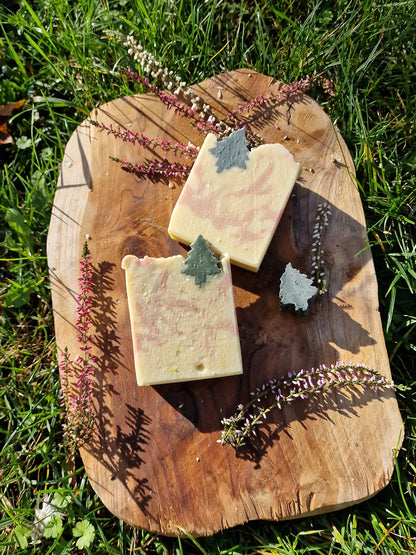 Symphonie des Zauberwaldes